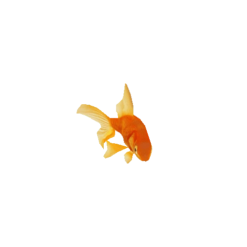 Goldfish Avoidance Mobile